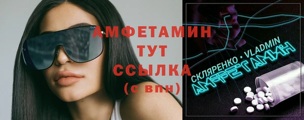 сатива Беломорск