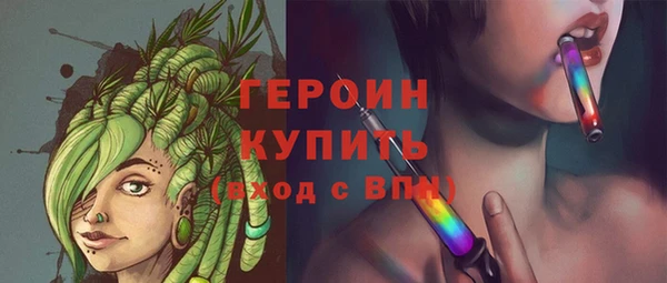 сатива Беломорск
