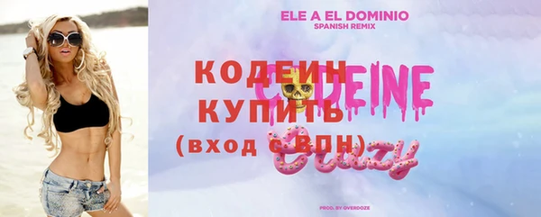 сатива Беломорск