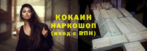 сатива Беломорск