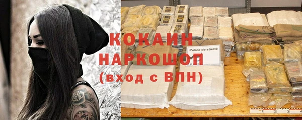 сатива Беломорск
