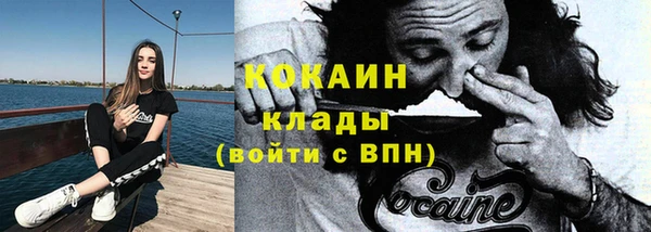 сатива Беломорск