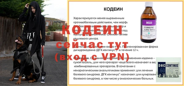сатива Беломорск