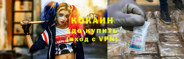 сатива Беломорск