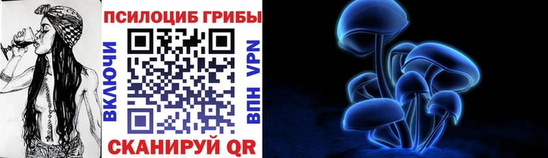 Псилоцибиновые грибы прущие грибы  наркотики  Куртамыш 